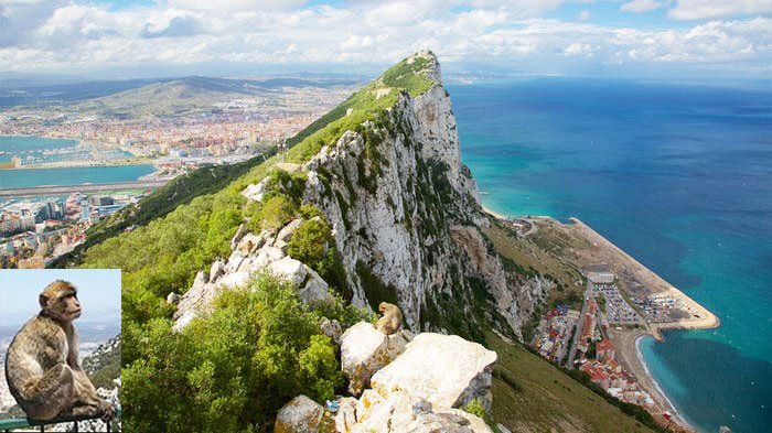 Rock of Gibraltar